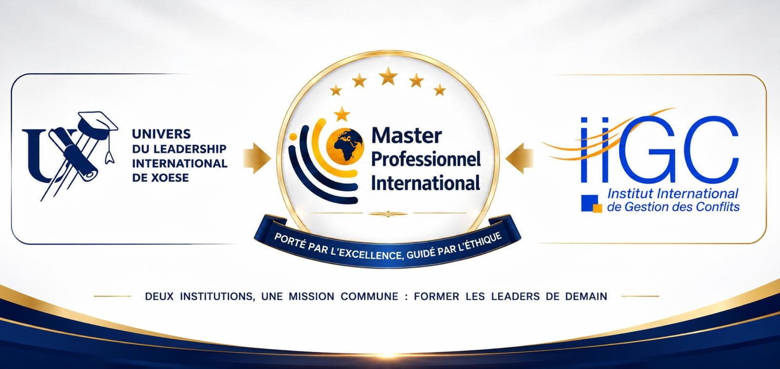Affiche officielle - MPI Diplomatie & Stratégies Négociationnelles - Promotion Amadou Hampâté Bâ (2026-2027)